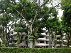 Regency Park (D10), Condominium #633310921
